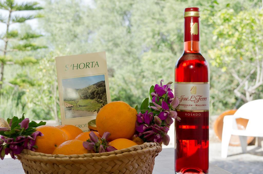 Agroturisme S' Horta Капдепера Екстериор снимка